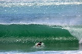surf8